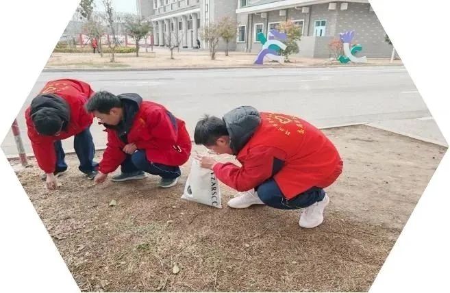 弘扬雷锋精神 争做时代楷模|我校团委开展学雷锋活动