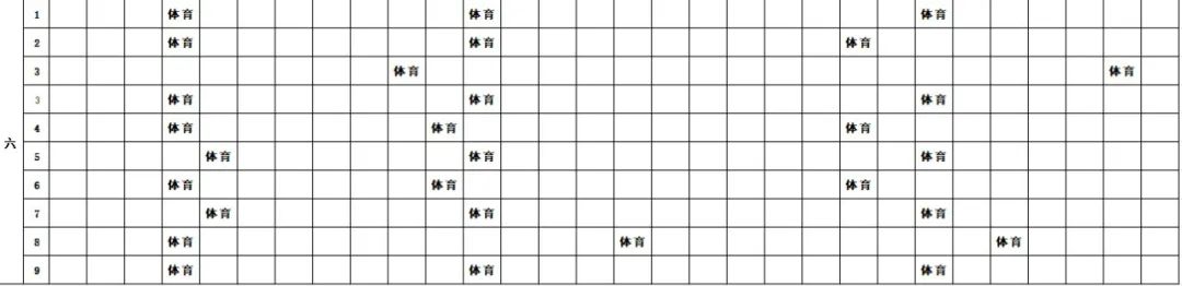 邳州市车辐山镇中心小学2023年体育课程表